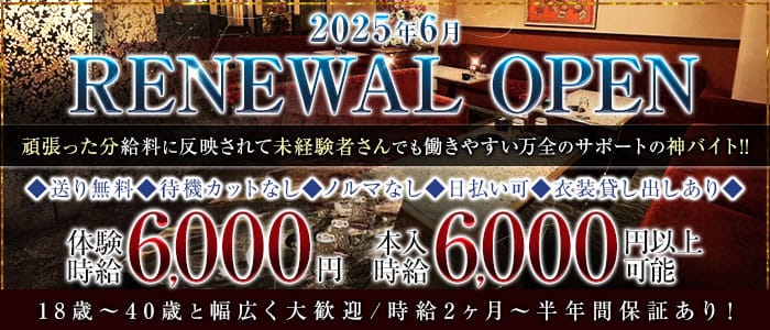 Club Bee（ビー）(松山キャバクラ)の求人・体験入店情報