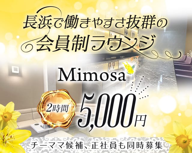 Mimosa（ミモザ）【公式求人・体入情報】 長浜会員制ラウンジ TOP画像