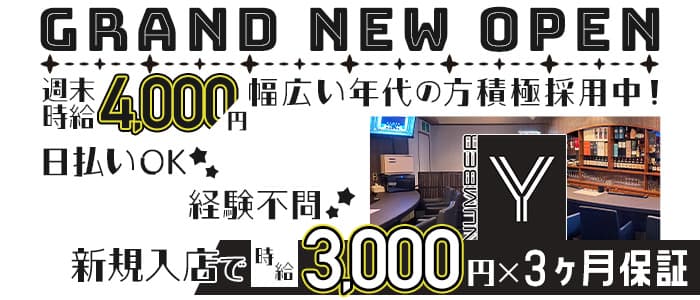 NUMBER_Y（ナンバーワイ） 宇都宮スナック 未経験募集バナー