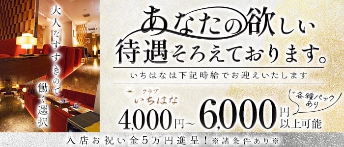 【すすきの】クラブ いちはな(すすきのクラブ)の求人・体験入店情報