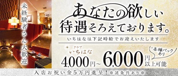 【すすきの】クラブ いちはな(すすきのクラブ)の求人・体験入店情報