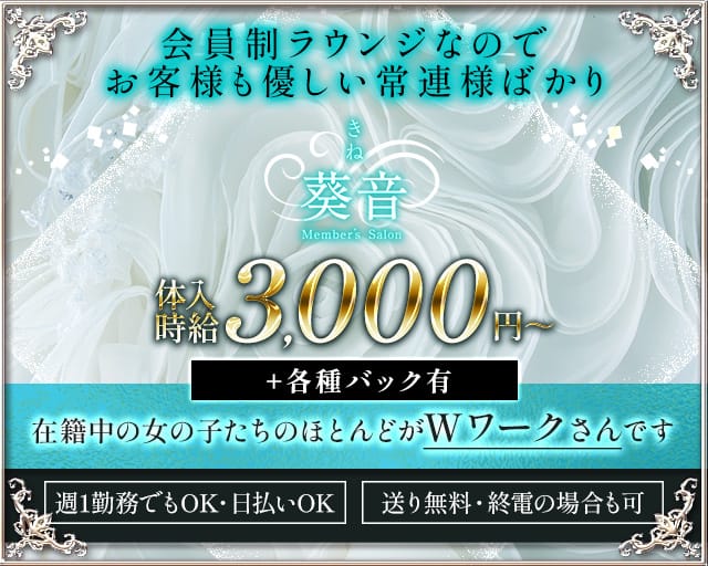 member's葵音（キネ）のラウンジ体入