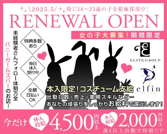 elfin （エルフィン）のガールズバー体入