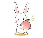 ピーチスターのここがすごい☆彡