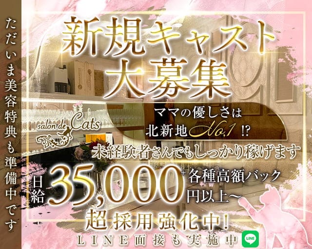 CLUB Cats（クラブキャッツ）のラウンジ体入