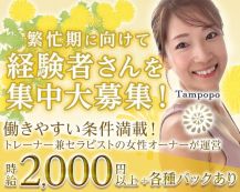 Tampopo（たんぽぽ）【公式求人・体入情報】 バナー