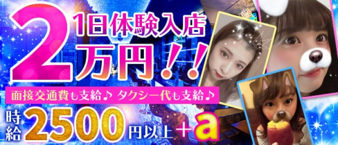 X(ics)イクス【公式求人情報】(溝の口ガールズバー)の求人・バイト・体験入店情報