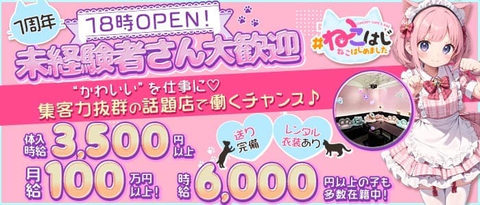【江坂】#ねこはじ - ねこはじめました -(梅田ガールズバー)の求人・体験入店情報