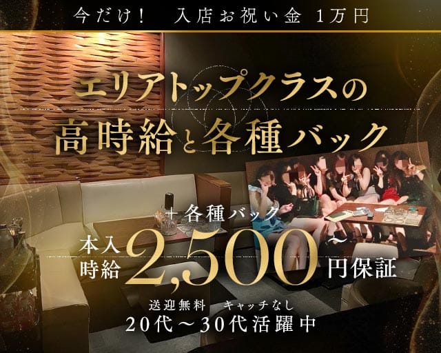 椿（ツバキ）のラウンジ体入
