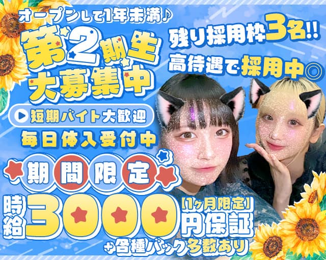 GirlsBar S（エス）のガールズバー体入