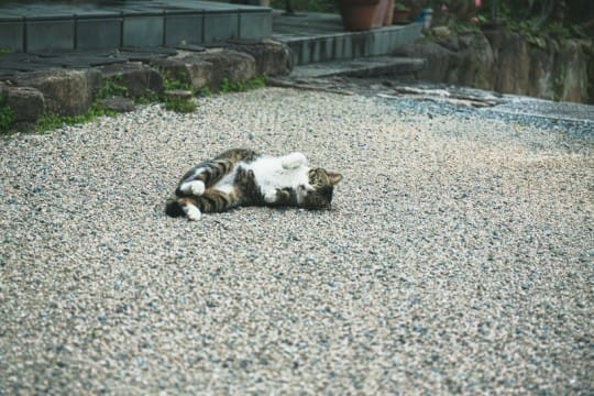 ライフスタイルに合わせて空いた時間だけでも働けます