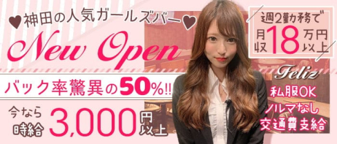 Bar Dining Feliz~フェリス~【公式求人・体入情報】(神田ガールズバー)の求人・体験入店情報