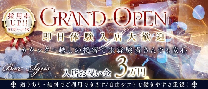 【江坂】Bar Agris（アグリス）(江坂ガールズバー)の求人・体験入店情報