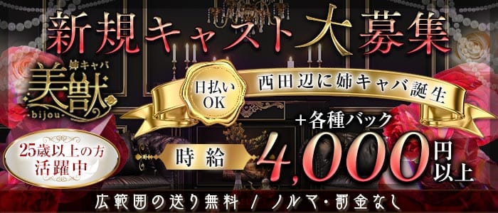 【西田辺】姉・半熟キャバ 美獣（ビジュー）(天王寺キャバクラ)の求人・体験入店情報