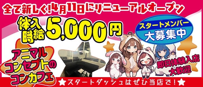 コンカフェ Flora（フロラ）(太田ガールズバー)の求人・体験入店情報