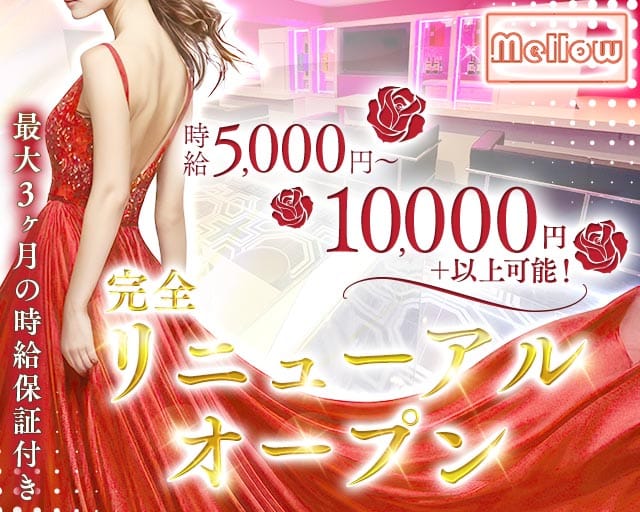 Mellow（メロウ）のキャバクラ体入
