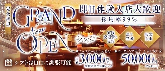 【南浦和】ガールズバー ハレノヒ(南浦和ガールズバー)の求人・体験入店情報