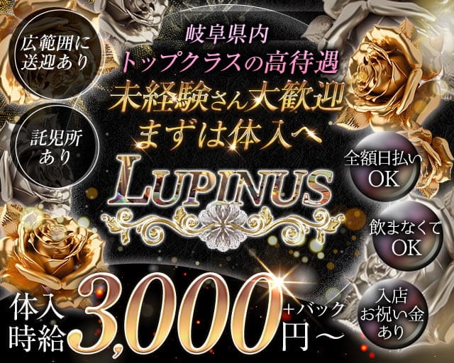 LUPINUS（ルピナス）のラウンジ体入