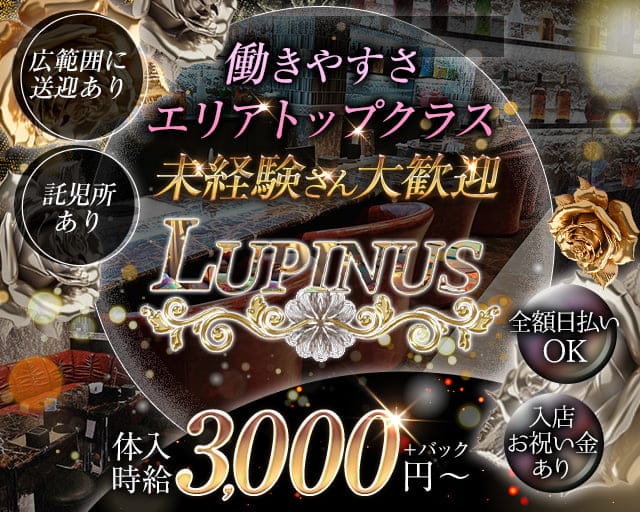 LUPINUS（ルピナス）のラウンジ体入