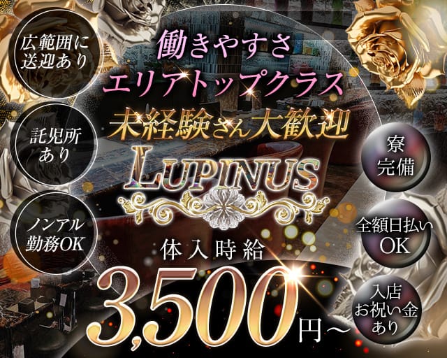 LUPINUS（ルピナス）のラウンジ体入