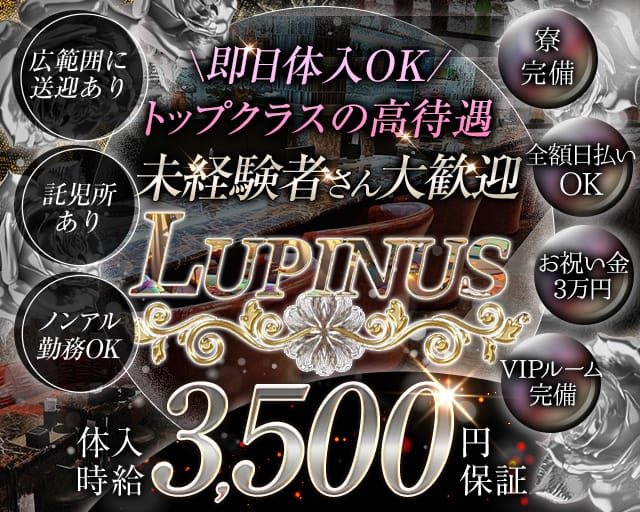 LUPINUS（ルピナス）のラウンジ体入