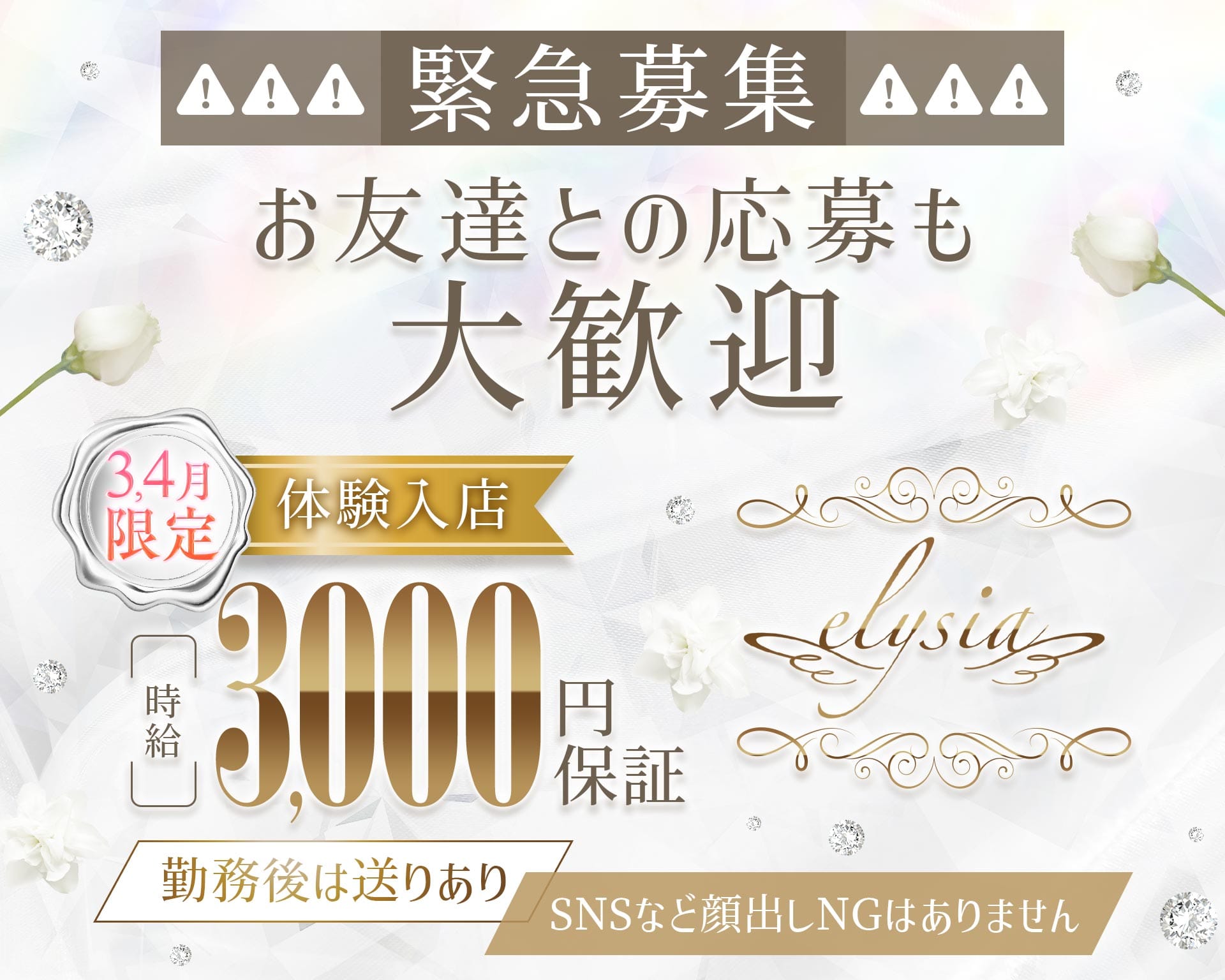 elysia（エリシア） 天文館ガールズバー TOP画像