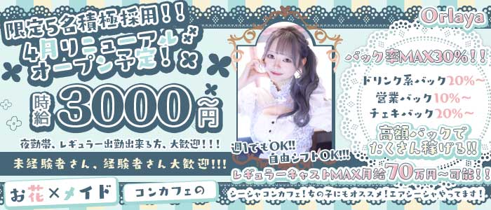 Orlaya（オルレア） 池袋ガールズバー 未経験募集バナー