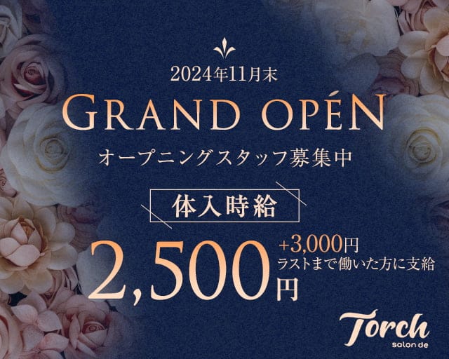 salon de Torch（トーチ）のスナック体入