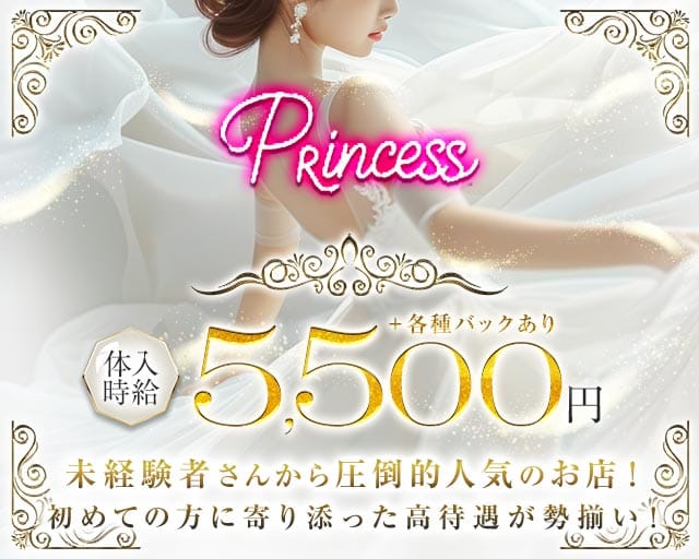 NEW CLUB プリンセスの求人情報