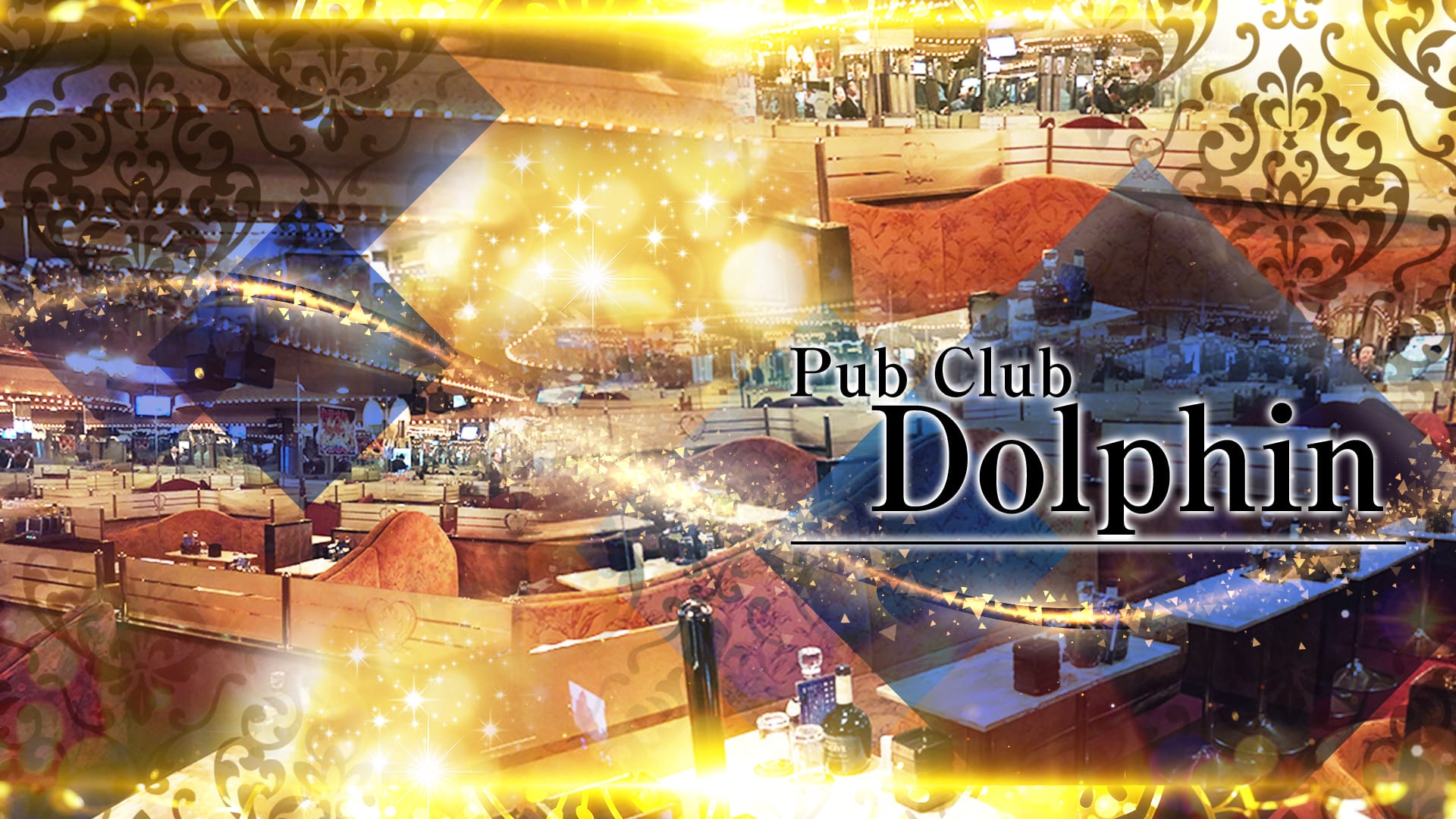PUB CLUB Dolphin（ドルフィン）【公式求人・体入情報】 品川キャバクラ TOP画像