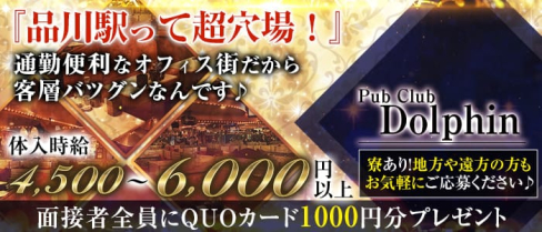 PUB CLUB Dolphin(ドルフィン)【公式出稼ぎ求人情報】(品川キャバクラ)の求人・バイト・体験入店情報