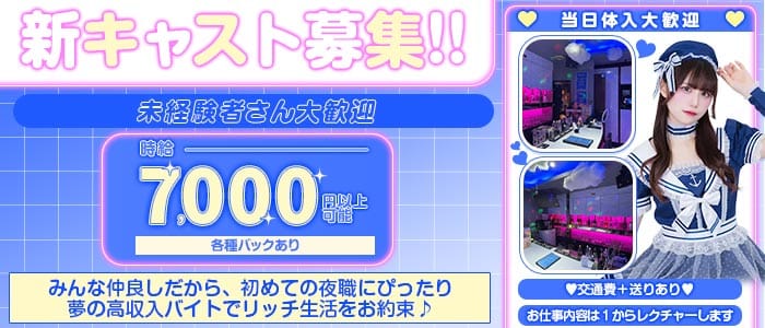 【昼・夜】コンセプトカフェ Bee（ビー）(赤羽ガールズバー)の求人・体験入店情報
