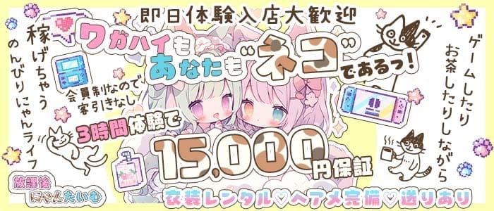 放課後にゃんたいむ☆(横浜ガールズバー)の求人・体験入店情報