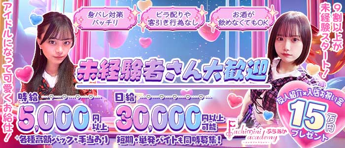 Puchimini  academy（ぷちみにあかでみー） 池袋ガールズバー 未経験募集バナー