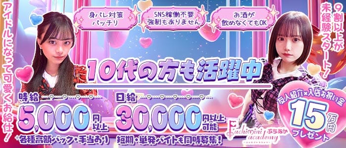 Puchimini  academy（ぷちみにあかでみー） 池袋ガールズバー 未経験募集バナー