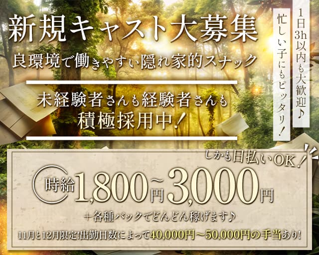 Felice（フェリーチェ）のスナック体入