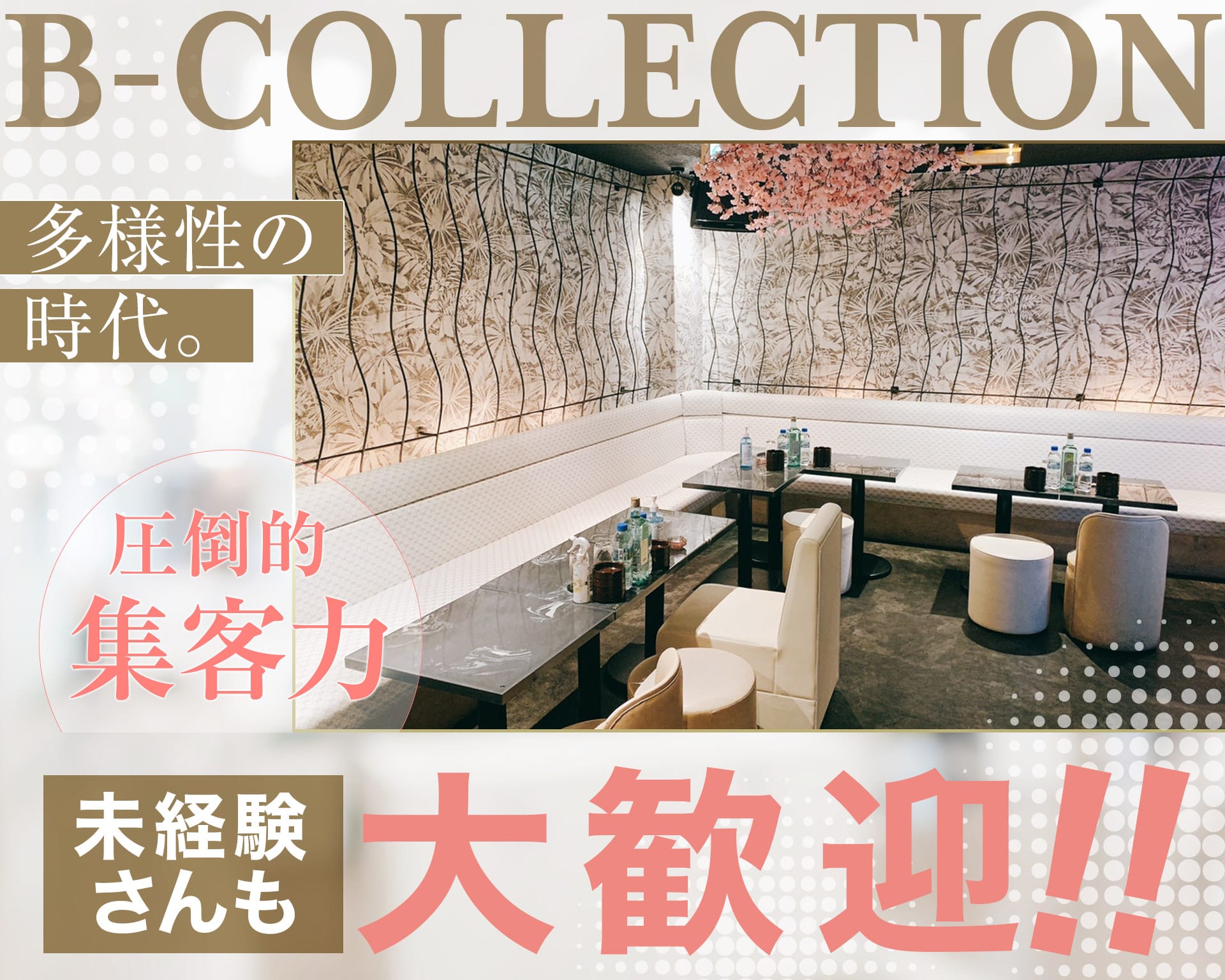 B-collection（ビーコレクション） 久喜キャバクラ TOP画像