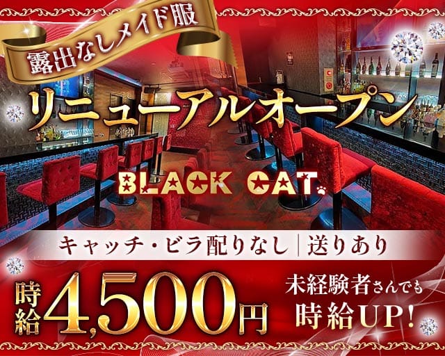 【東急線/JR線蒲田駅】Girl's Bar ブラックキャット(蒲田ガールズバー)の求人・体験入店情報