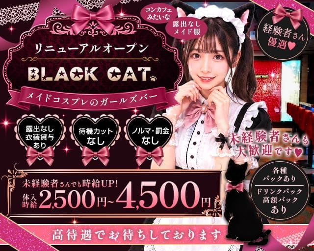 【東急線/JR線蒲田駅】Girl's Bar ブラックキャット(蒲田ガールズバー)の求人・体験入店情報