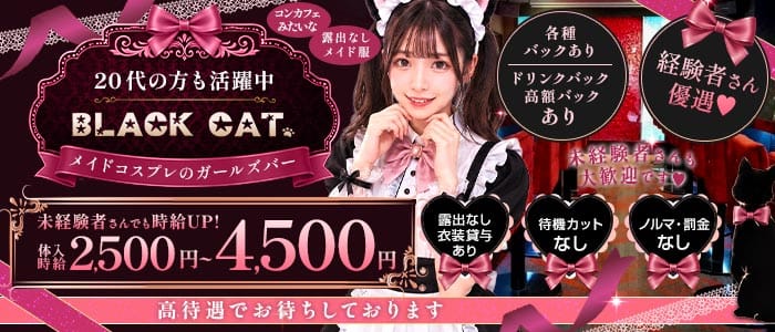 【東急線/JR線蒲田駅】Girl's Bar ブラックキャット(蒲田ガールズバー)の求人・体験入店情報