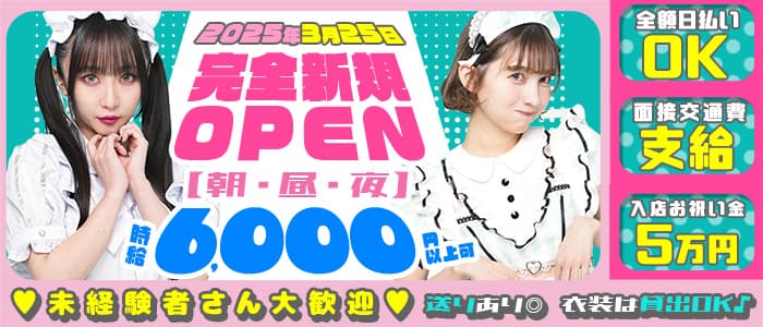 【朝・昼・夜】わがはいは ねこである(歌舞伎町ガールズバー)の求人・体験入店情報