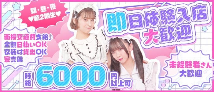 【朝・昼・夜】わがはいは ねこである 歌舞伎町ガールズバー 即日体入募集バナー