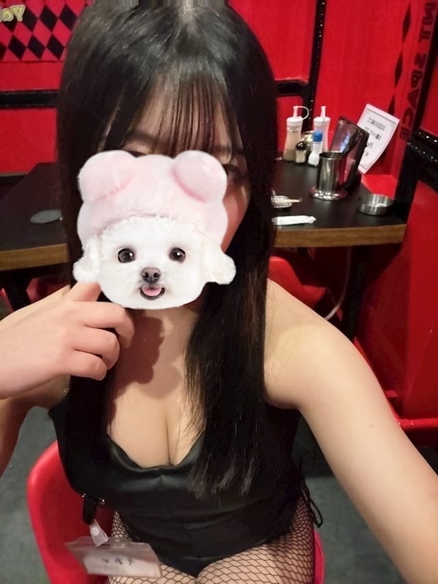 ソア焼肉とバニーガール 難波店 画像1