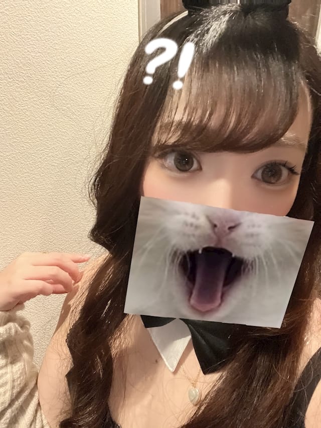 キキ焼肉とバニーガール 難波店 画像1