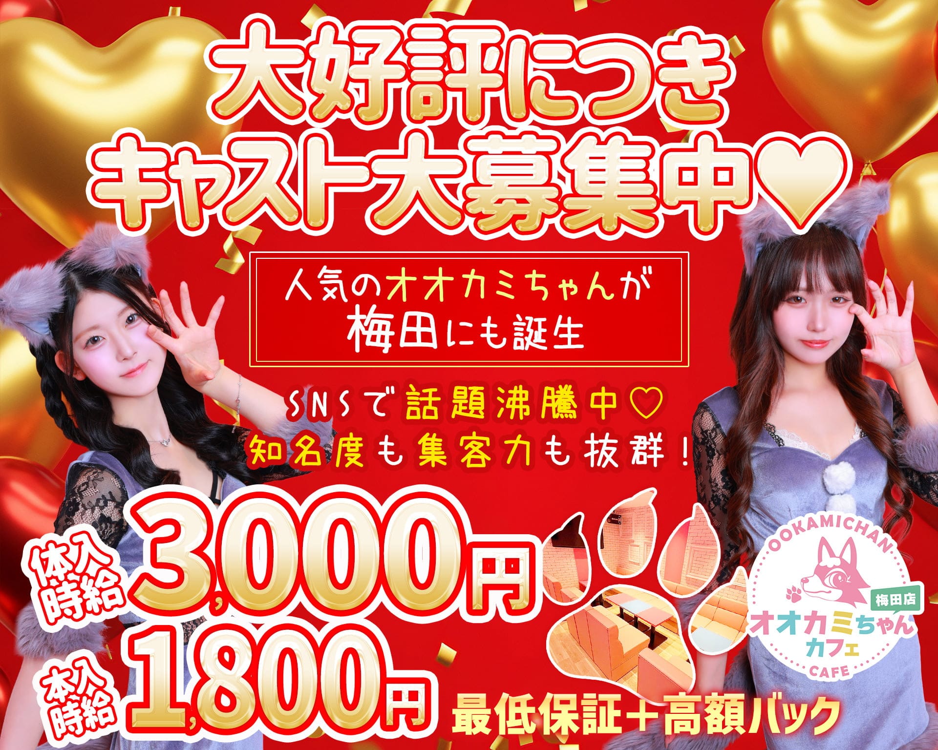 オオカミちゃんカフェ梅田店 梅田ガールズバー TOP画像