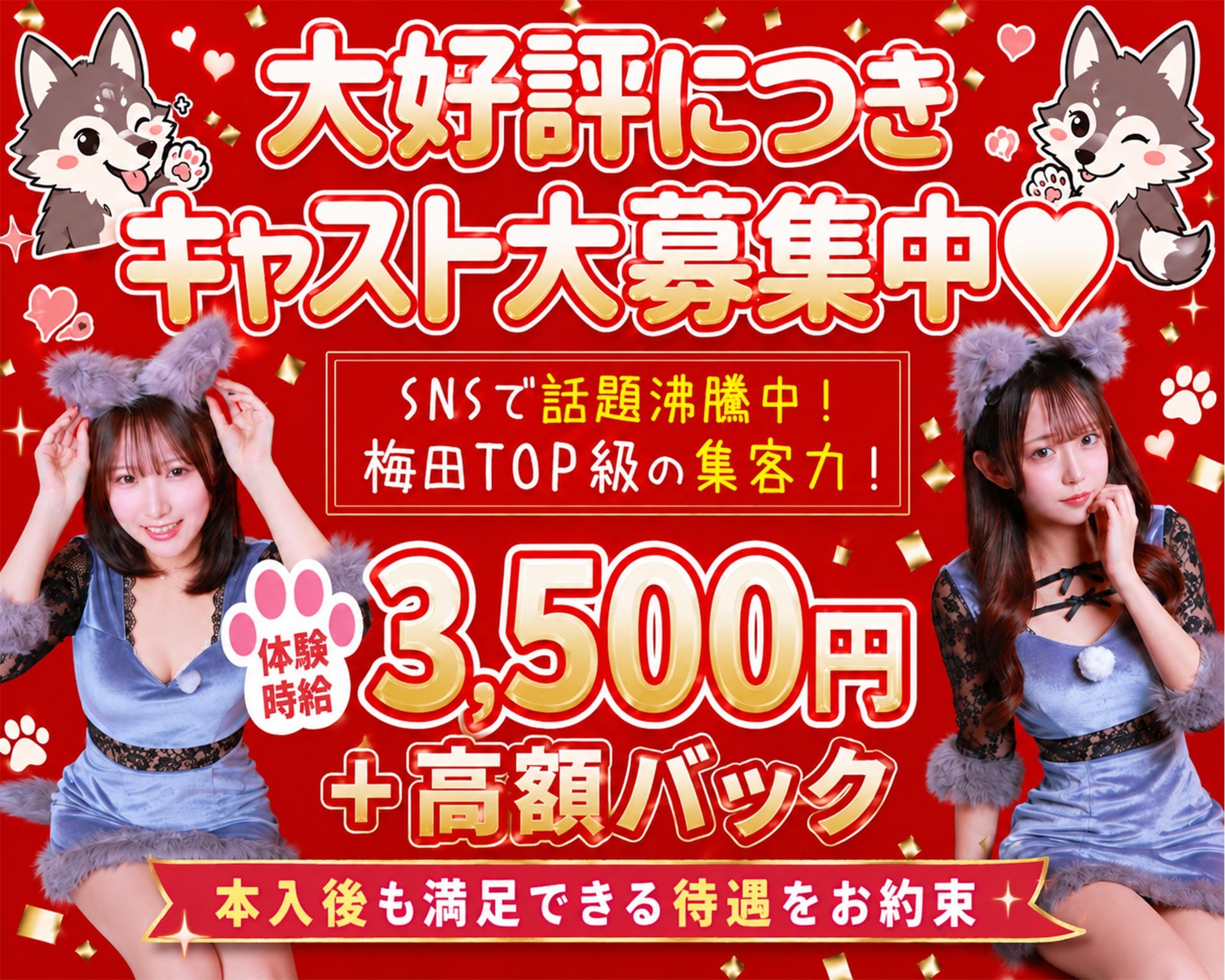 オオカミちゃんカフェ梅田店 梅田ガールズバー TOP画像