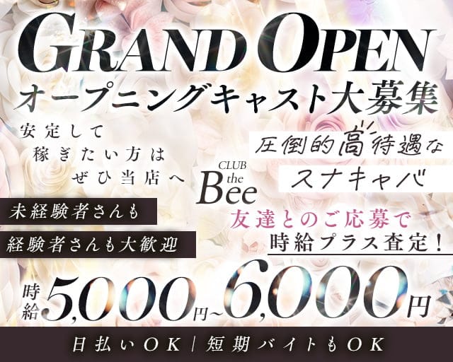 CLUB the Bee (ビー)のスナック体入
