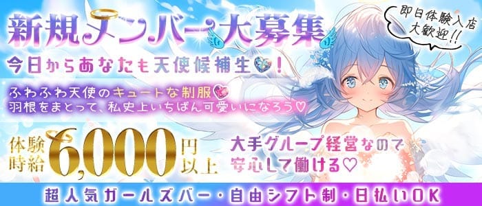 【新橋駅】しろの天使~white angel~(新橋ガールズバー)の求人・体験入店情報