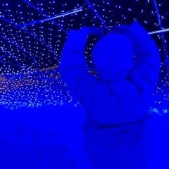 さくら U Cafe&Bar（ユー） 画像1