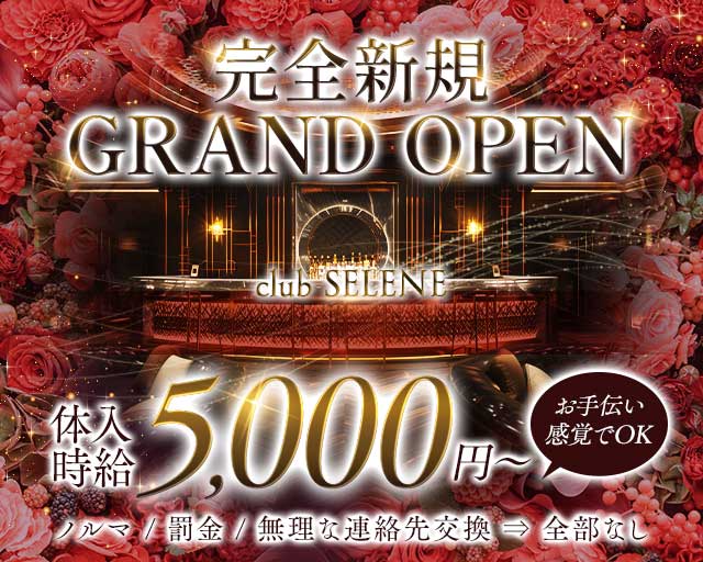 club SELENE（セレネ）(福山キャバクラ)の求人・体験入店情報